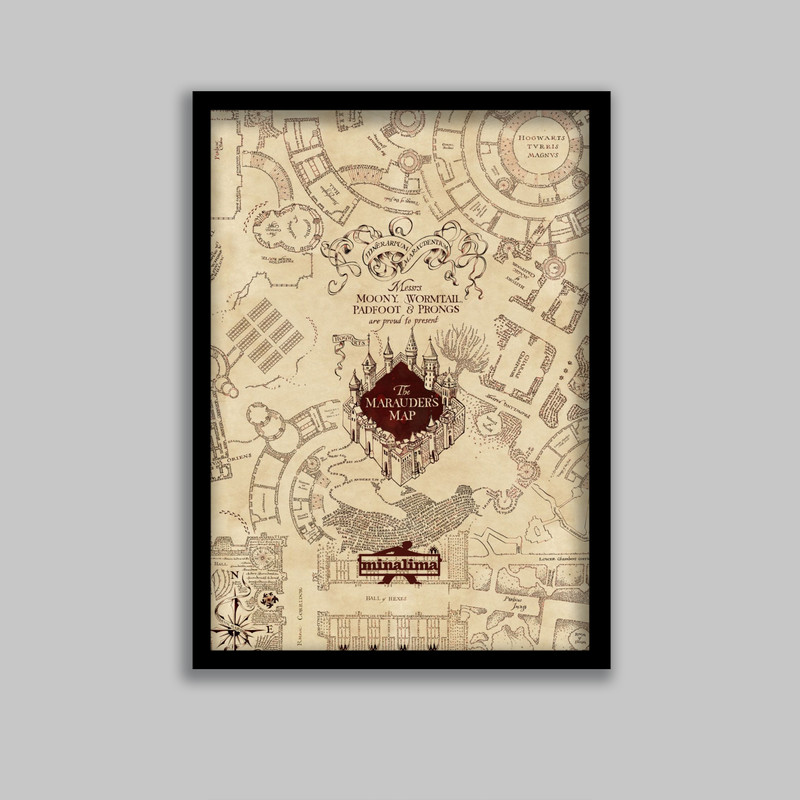 تابلو مدل هری پاتر طرح نقشه هاگوارتز Harry Potter کد LA-G10596-2