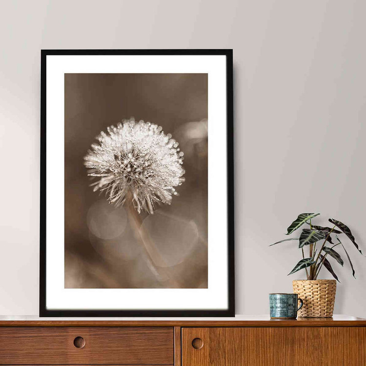 تابلو مدل Dandelion flower کد 248901603