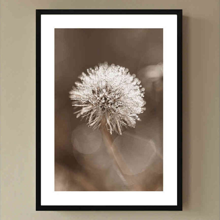تابلو مدل Dandelion flower کد 248901603