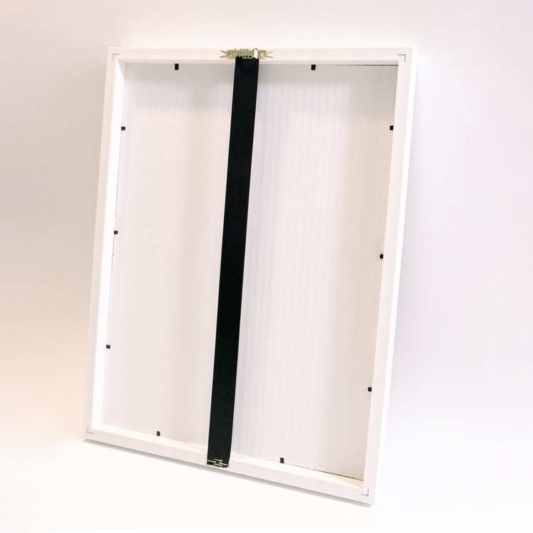 تابلو طرح مدرن گل میخک کد BG002 مجموعه 6 عددی