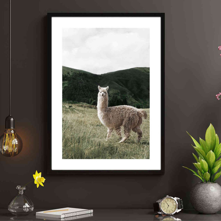 تابلو مدل Alpaca کد 248901880