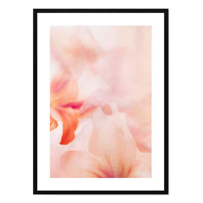 تابلو مدل Coral lily 2 کد 248901658