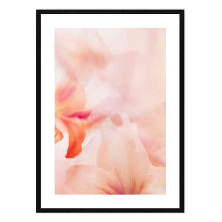 تابلو مدل Coral lily 2 کد 248901658